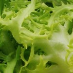 banner escarola perruqueta top
