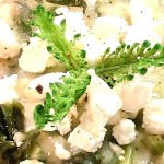 Arroz cremoso de espigalls banner