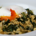 Risotto d’espigalls, parmesà i ous escalfat